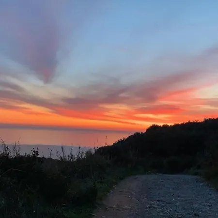 Buicoville Камерота