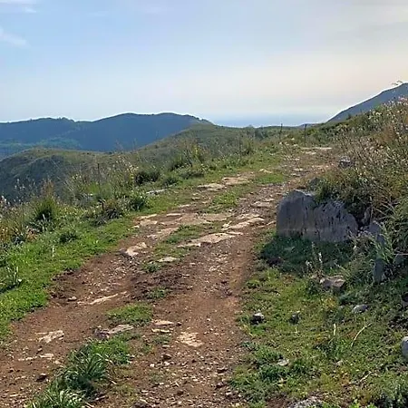 Frühstückspension Buicoville 4*